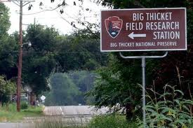 big thicket sign