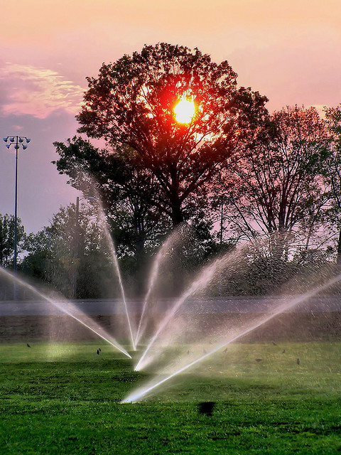 aerobic sprinklers sunset