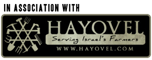 HaYovel Israeli Tourism