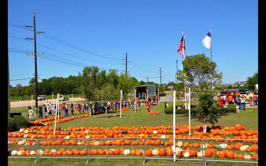 pumpkin patch Beaumont TX, SETX pumpkin patch, Halloween Beaumont TX