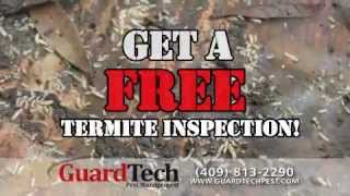 pest control Beaumont TX, pest control Port Arthur, pest control Southeast Texas, pest control Golden Triangle TX
